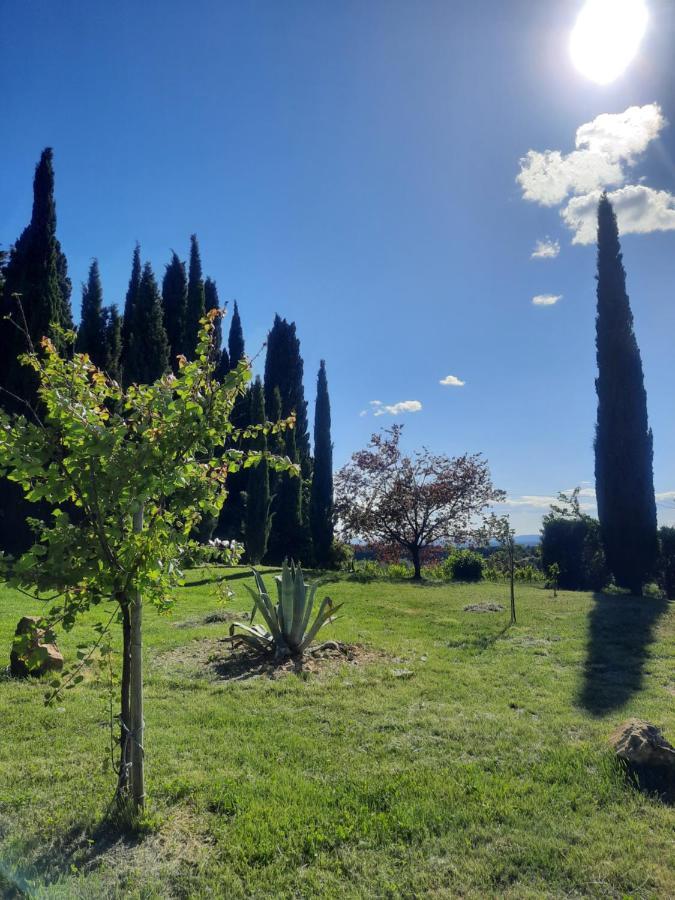Les Deux Tilleuls Sablet Dış mekan fotoğraf